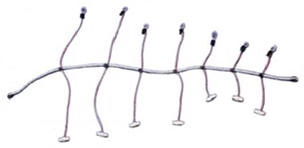 Yelken sarma lastiği (ahtapot) 8MMX300CM